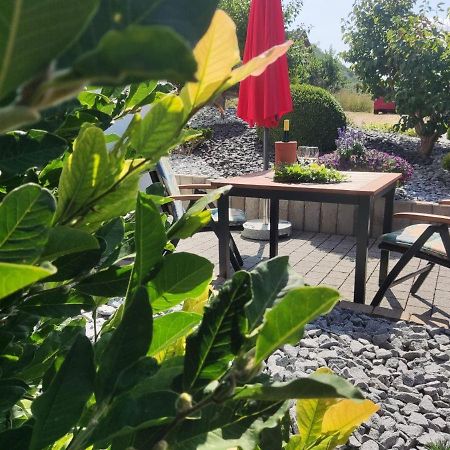 Ferienwohnung Moselzeit アルケン エクステリア 写真