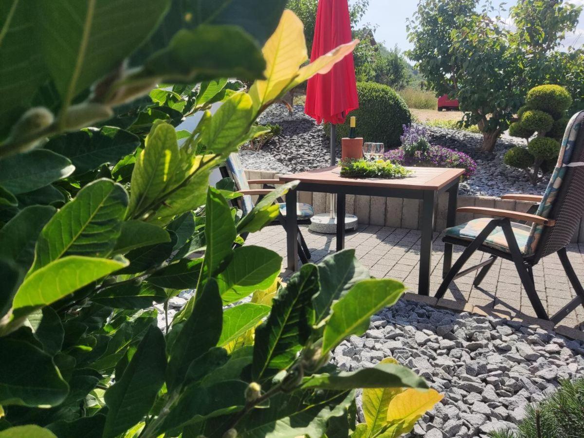 Ferienwohnung Moselzeit アルケン エクステリア 写真