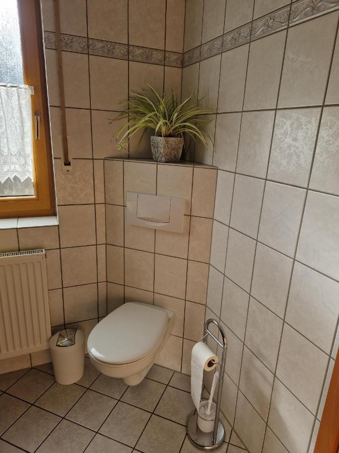 Ferienwohnung Moselzeit アルケン エクステリア 写真
