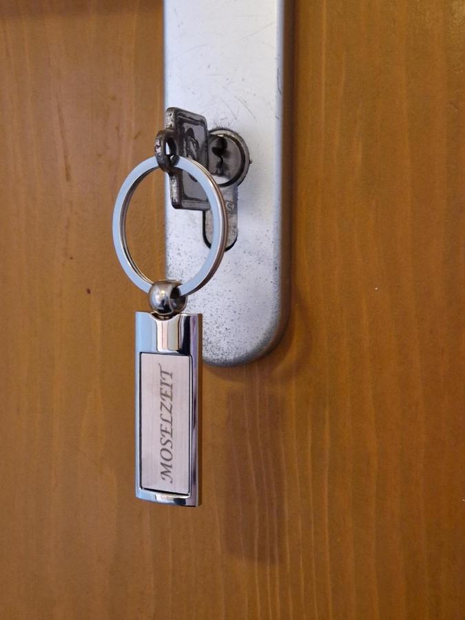 Ferienwohnung Moselzeit アルケン エクステリア 写真